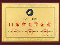 山東省瞪羚企業