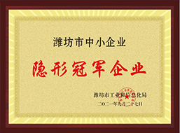 隱形冠軍企業